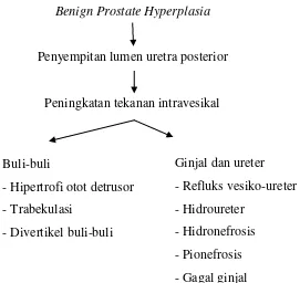 Gambar 7. Pengaruh BPH pada saluran kemih (Sumber:  Purnomo, 2012). 