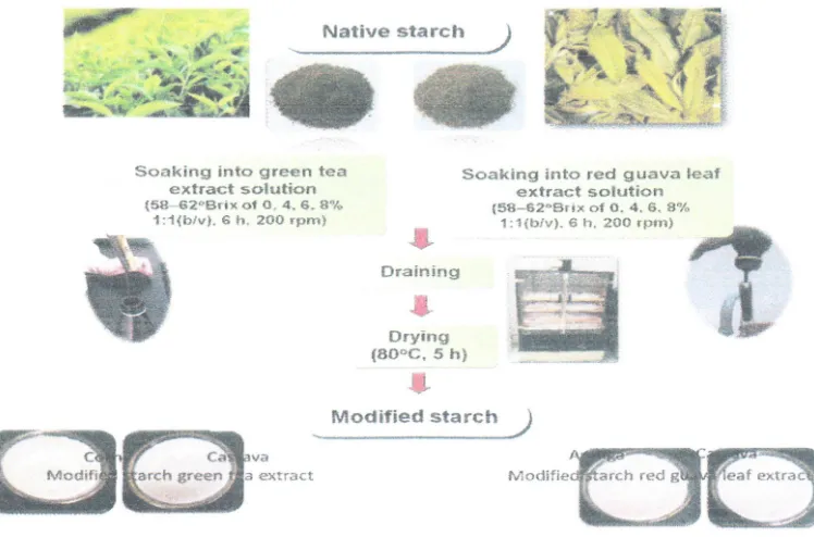 Table 1 Digestibility of starches modified with green tea extract 