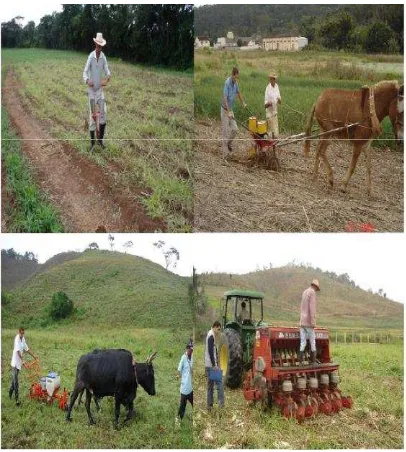 Gambar 10. Kegiatan pada pertanian lahan sempit di Brasil 