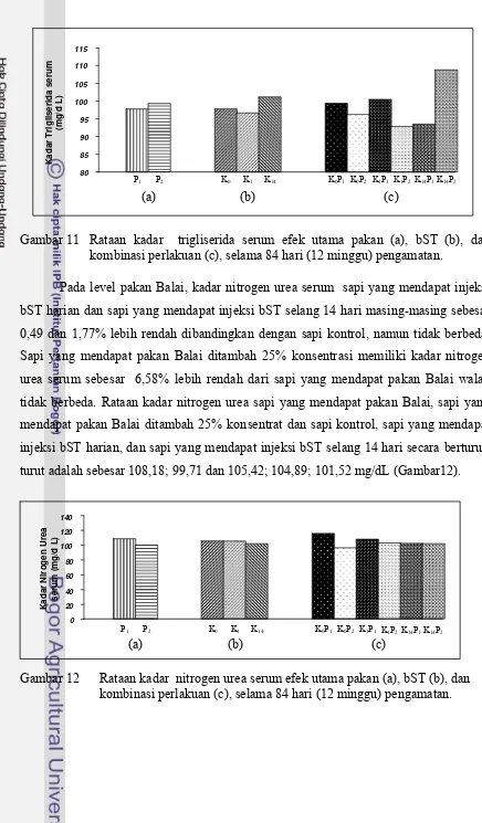 Gambar 11 Rataan kadar  trigliserida serum efek utama pakan (a), bST (b), dan 