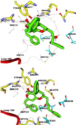 Fig. 3:  Molecule interaction between katsumadain A and neuraminidase types N1 (a) and N1 mutant (b)