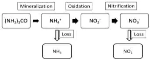 Figure 1. Mineralization and volatilation of nutrients.  