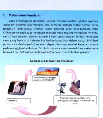 Gambar 2. 3. Mekanisme Penularan 