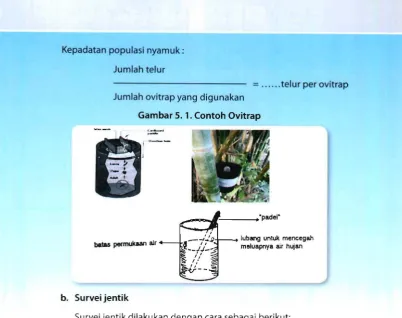 Gambar 5. 1. Contoh Ovitrap 