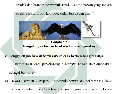 Gambar 2.2 Pengolongan hewan berdasarkan cara geraknya 