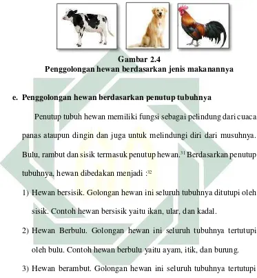 Gambar 2.4 Penggolongan hewan berdasarkan jenis makanannya 