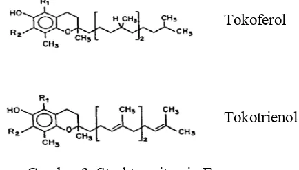 Gambar 3. Struktur vitamin E 