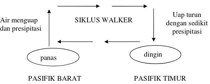 Gambar 2.2. Siklus Walker