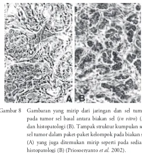 Gambar 8  Gambaran yang mirip dari jaringan dan sel tumor 