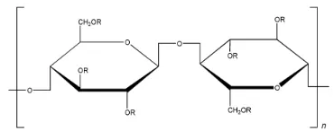 Gambar 6. Struktur Molekul HPMC (Harwood, 2006)  