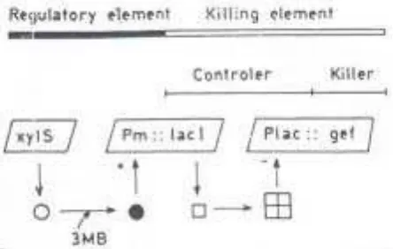 Gambar 5. Model sistem  active biological containment (dari Molina et al., 1998). I V