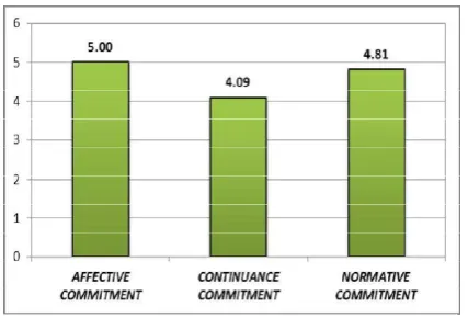 Gambar 3. Gambaran Umum Profil Occupational Commitment                       
