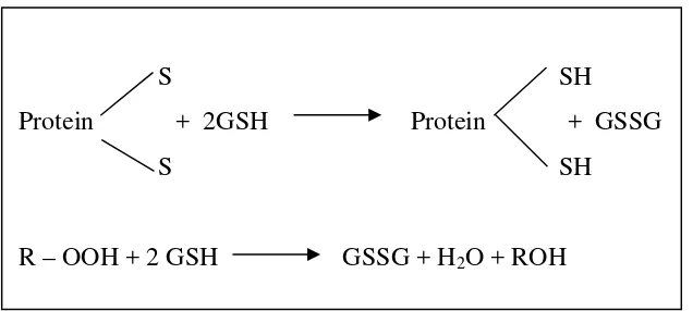 Gambar 7. Mekanisme perlindungan oleh GSH (Ballatori dkk., 2009).