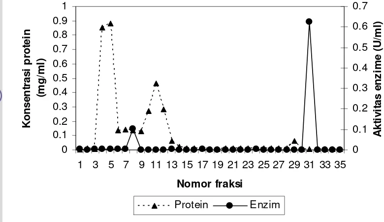 Gambar 3. Kromatogram gel filtrasi matriks  sephadex G-100 