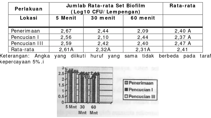 Tabel 1 . Jum lah sel biofilm  pada tiga lokasi peletakan sam pel dalam  tiga 