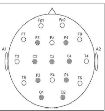 Figure 2.1 Electrode positions on the scalp 