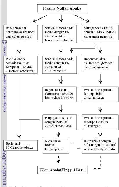 Gambar 1. Diagram alir strategi penelitian dan keterkaitan antar percobaan 