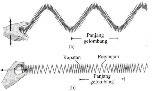 Gambar 2.1  Ilustrasi (a) Gelombang transversal (b) Gelombang Longitudinal (Nowikow dan Heimbecker, 2001) 