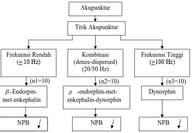 Gambar 2.1. Kerangka berpikir perbedaan efek analgesia elektroakupunktur dengan  nyeri punggung bawah 