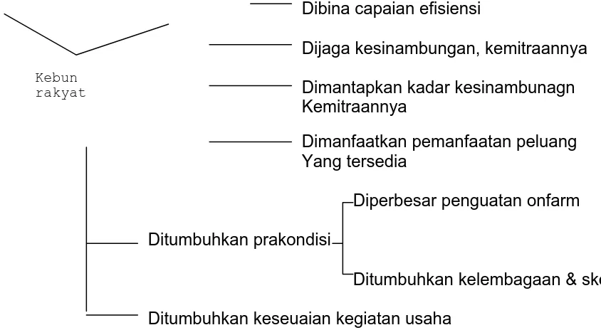 Gambaran kondisi usaha perkebunan rakyat yang sudah ada secara umum merupakan usaha skala kecil, asset agribisnis yang belum termanfaatkan secara optimal (terdapat sisa asset lahan dan tenaga kerja petani), penerapan paket teknologi anjuran masih terbatas 