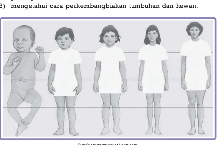 Gambar di atas memperlihatkan pertumbuhan manusia. Manusia