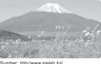 Gambar 3.18 Gunung Fuji di Jepang.