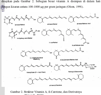 Gambar 2. Struktur Vitamin A, ß-Carotene, dan Derivatnya 
