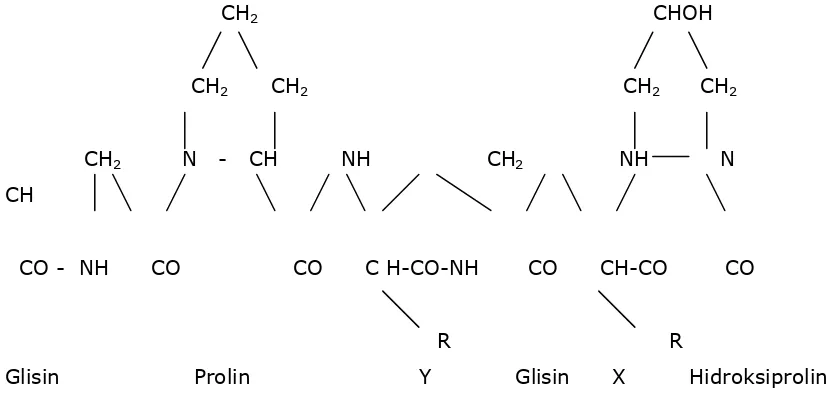 Gambar 7.  Struktur Kimia Gelatin. 