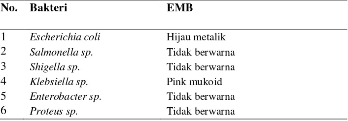 Tabel 3. Interpretasi Positif Kontaminasi pada Uji Biokimia. 