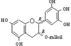 Gambar 1. Struktur kimia (-)-apigalokatekin 3-O-galat (EGCG), flavan-3-ol utama pada tanaman teh (Nonaka et al