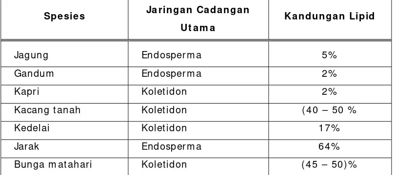 Tabel  1 .  Persentase Kandungan Lipid Beberapa Biji yang Bernilai Ekonom i