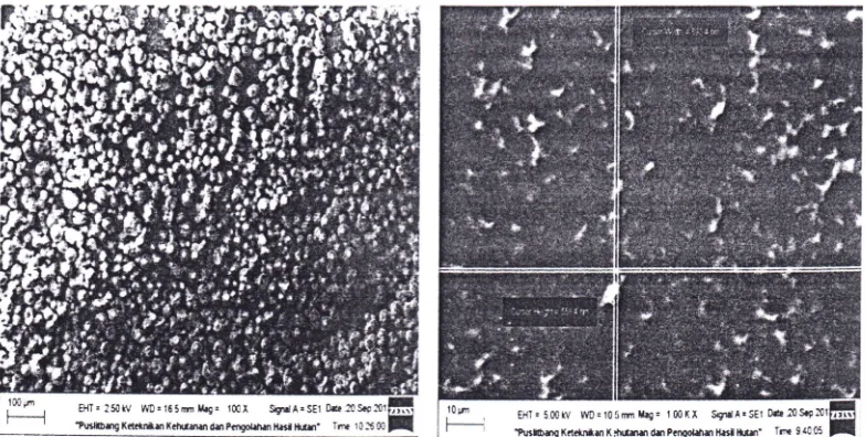 Gambar 3 Difraksi sinar X tapioka hasil hidrolisis isoamilase 0,5% selama 24 jam dibandingkan dengan tapioka alami