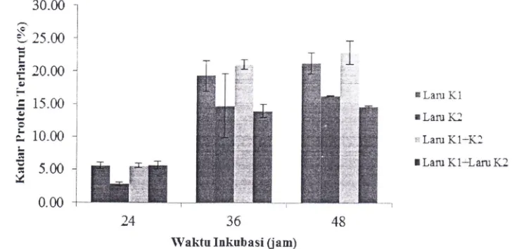 Gambar 2 Kadar protein terIarut tempe kacang merah dengan variasi jenis laru dan waktu inkubasi
