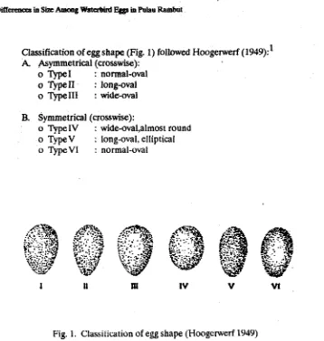 Fig. 1. Classification of egg shape (Hoogenverf 1949) 