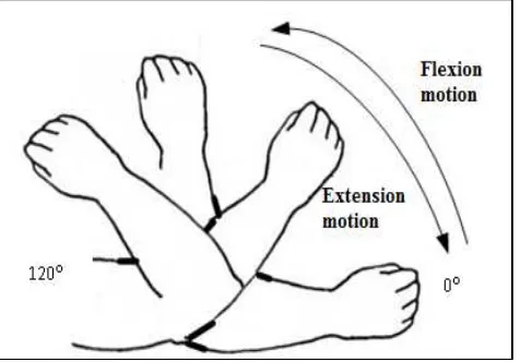Fig. 3.Subject Is Set-Up with Arm Rehabilitation Assistive Device for Experiment  