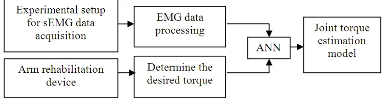 Figure 1 shows a block diagram of our research that consists of two major phases. First phase is EMG data processing and desired torque determination