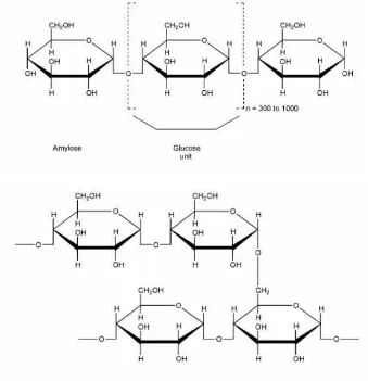 Gambar 3. Struktur Pati (Rowe, et al., 2009) 