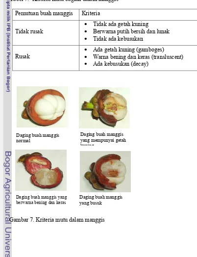 Tabel 7.  Kriteria mutu bagian dalam manggis 