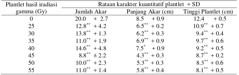 Tabel 2.  Rataan karakter pertumbuhan akar dan tinggi plantlet pisang cv. Barangan hasil iradiasi gamma saat aklimatisasi 