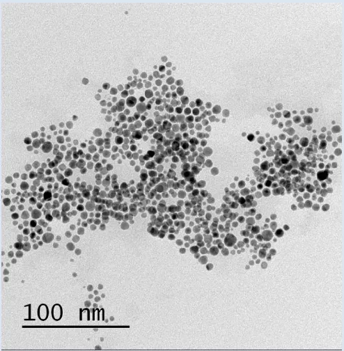 Fig 1. TEM image of gold nanoparticles