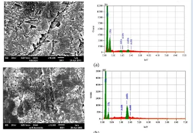 Fig 2. SEM image of gold nanoparticles modified glassy carbon electrode surface. Modification was conducted using (a) adsorption and (b) self assembly process