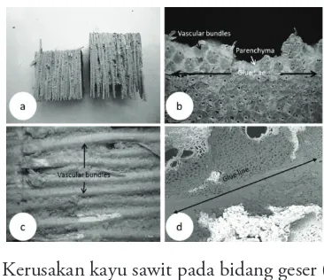 Gambar 7  Kerusakan kayu sawit pada bidang geser (Darwis et al. 