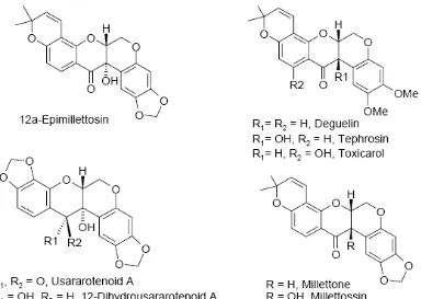 Gambar 9. Struktur kimia rotenoid dan flavonoid lain yang diisolasi dari salah satu spesies millettia (Yenesew et