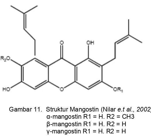 Gambar 11.  Struktur Mangostin (Nilar e.t al., 2002) 
