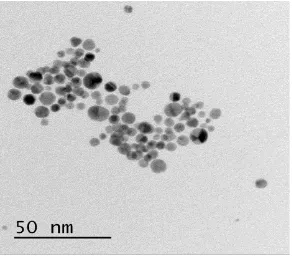 Fig. 2.SEMEDS results of the GCEmodified with AuNPs by self assembly 