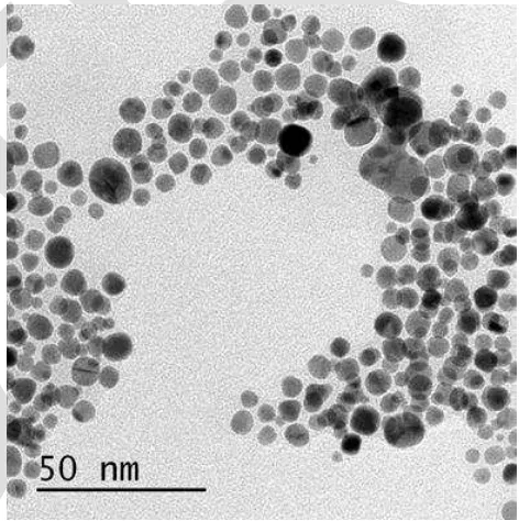 Fig. 1. TEM image of gold nanoparticles 