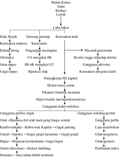 Gambar 2. Bagan Patofisiologi Luka Bakar (Brunicardi et al., 2005). 