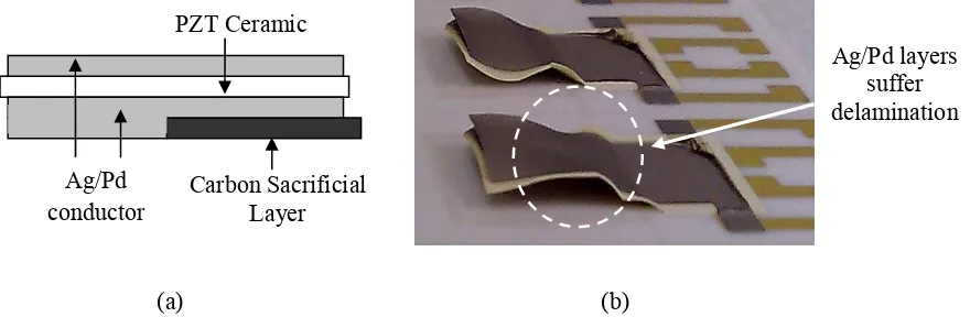 Fig. 3 (a) Schematic (not actual scale) and (b) fabrication outcome, of a sandwiched layer of electrode-PZT- electrode