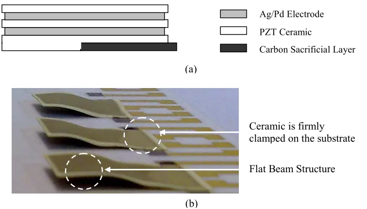 Fig. 6 (a) Multiple layer of ceramic-electrode-PZT-electrode-PZT-electrode-PZT-electrode-ceramic, with (b)  direction of polarization