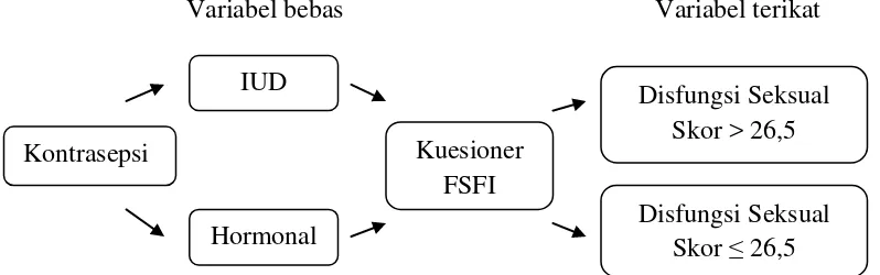 Gambar 2. Kerangka konsep hubungan alat kontrasepsi dengan disfungsi seksual                         menurut skoring FSFI 